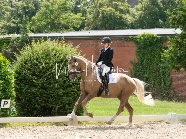 ZfdP Bundesturnier 5