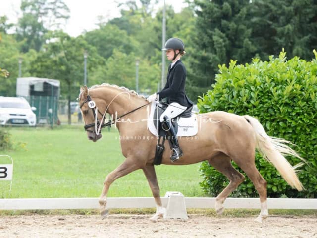 ZfdP Bundesturnier 7