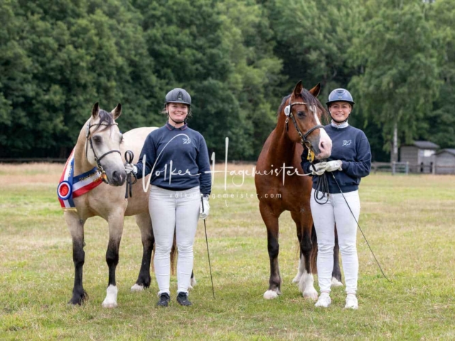 Elitestutenschau vormittags 7