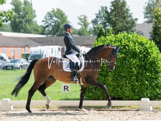 ZfdP Bundesturnier 9