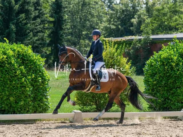 ZfdP Bundesturnier 12