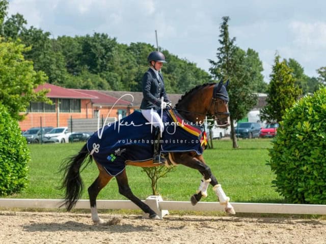 ZfdP Bundesturnier 15