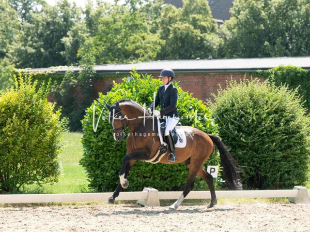 ZfdP Bundesturnier 10