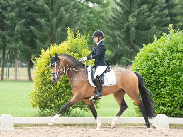 ZfdP Bundesturnier 18