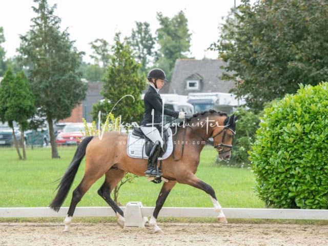 ZfdP Bundesturnier 16