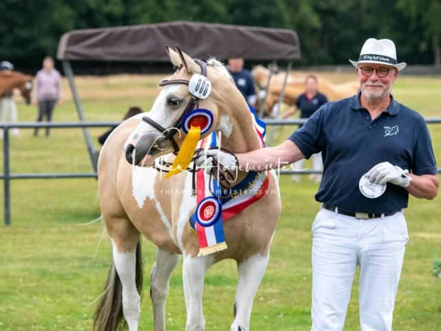 Elitestutenschau vormittags 17