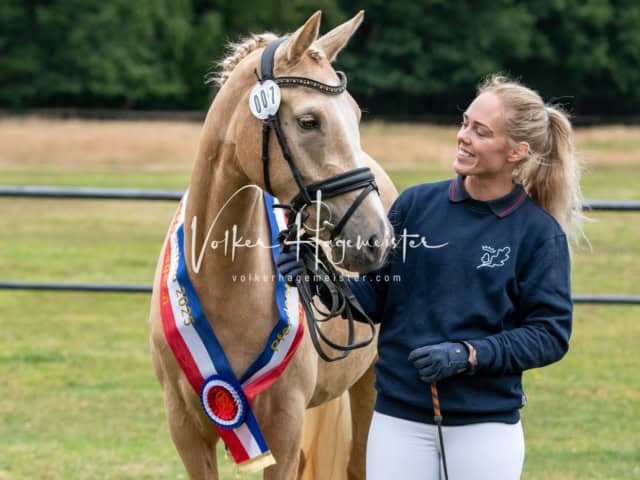 Elitestutenschau vormittags 5