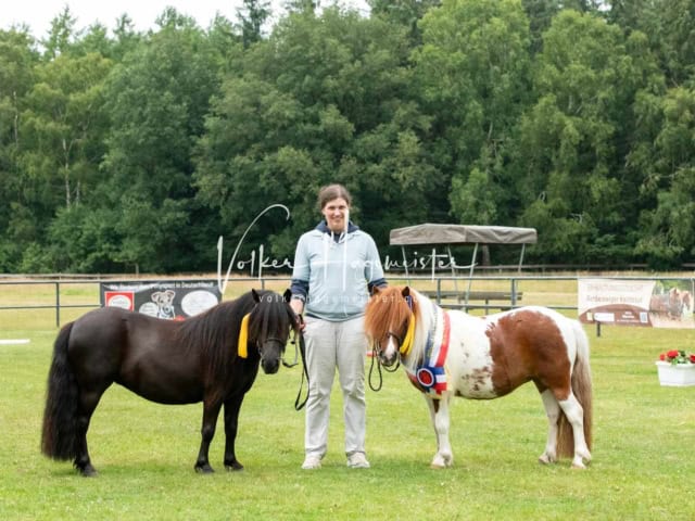 Elitestutenschau nachmittags 29