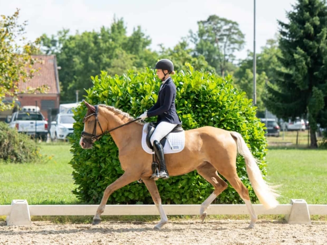 ZfdP Bundesturnier 22