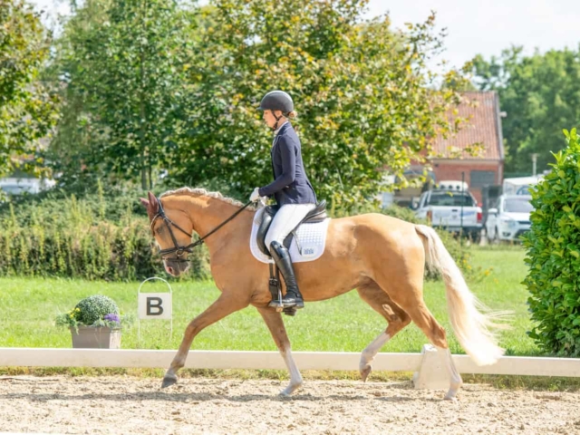 ZfdP Bundesturnier 23