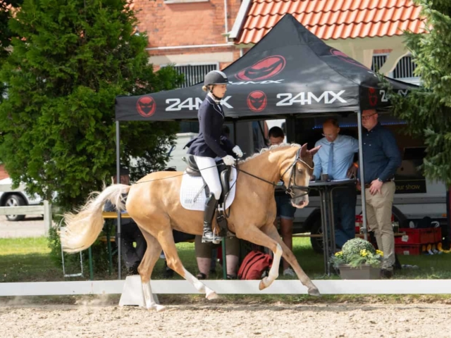 ZfdP Bundesturnier 24