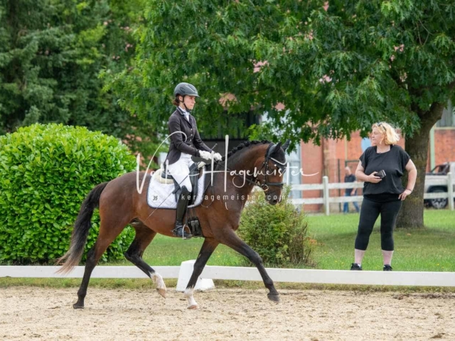 ZfdP Bundesturnier 26