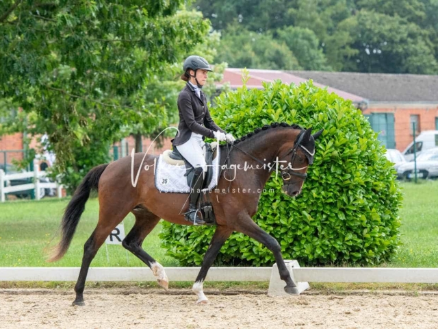 ZfdP Bundesturnier 27