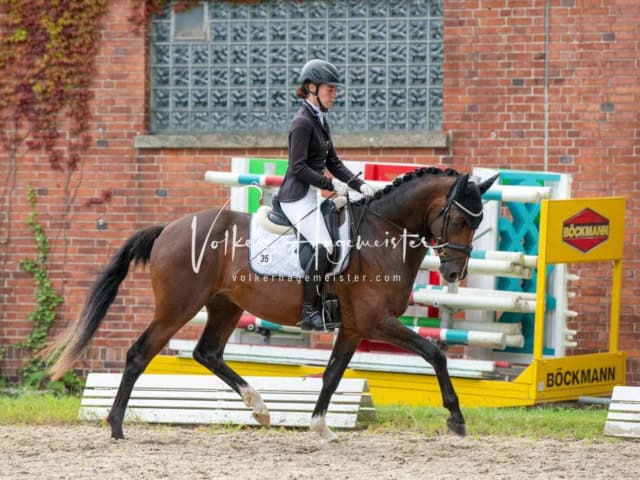 ZfdP Bundesturnier 28