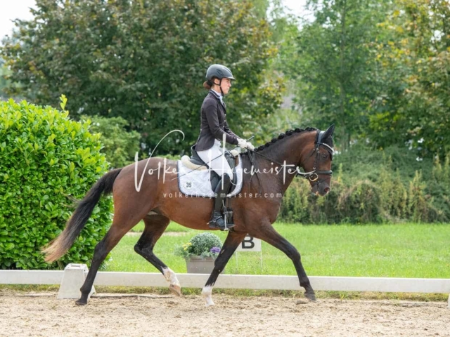 ZfdP Bundesturnier 29