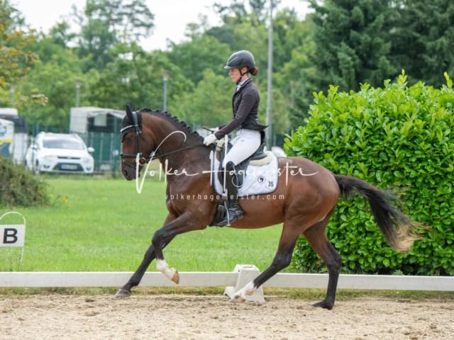 ZfdP Bundesturnier 30