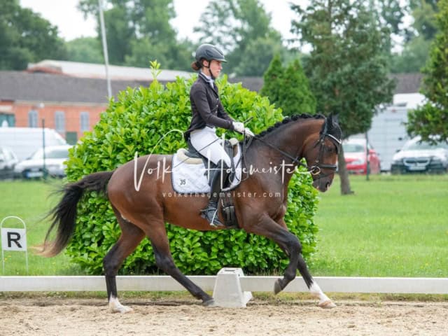 ZfdP Bundesturnier 1