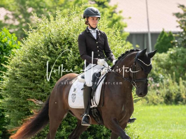 ZfdP Bundesturnier 2