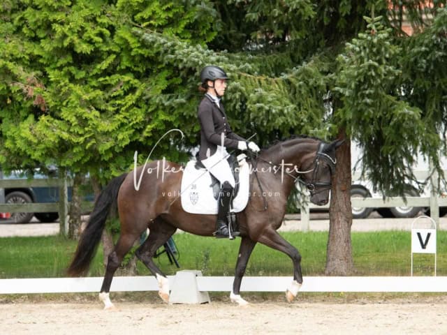 ZfdP Bundesturnier 3