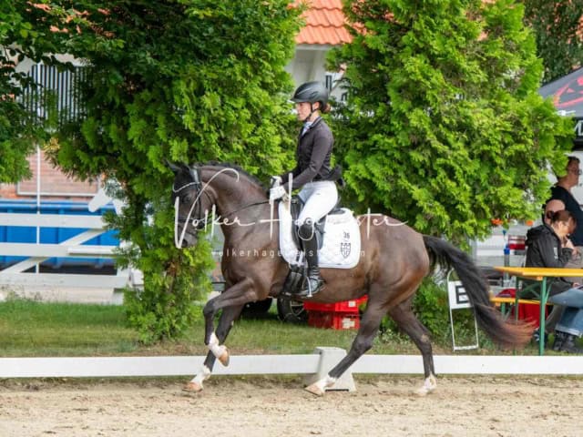 ZfdP Bundesturnier 4