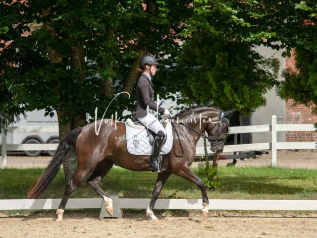 ZfdP Bundesturnier 5