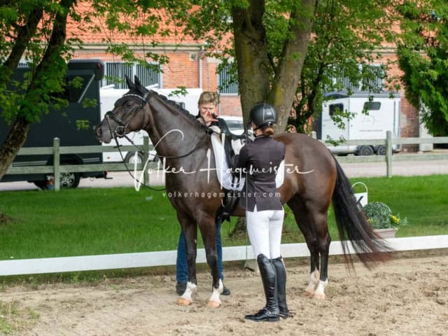 ZfdP Bundesturnier 6