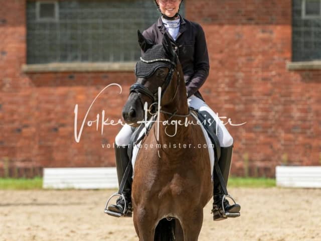 ZfdP Bundesturnier 7