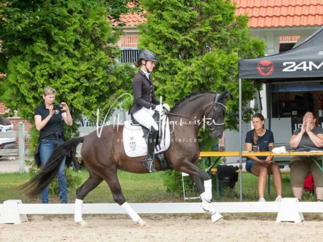 ZfdP Bundesturnier 9