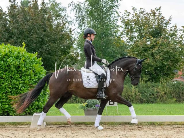 ZfdP Bundesturnier 10