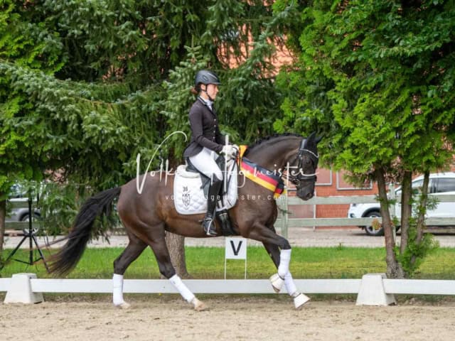 ZfdP Bundesturnier 12