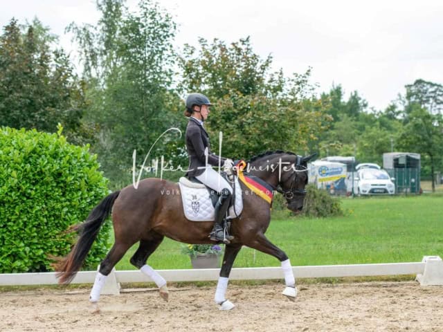 ZfdP Bundesturnier 14