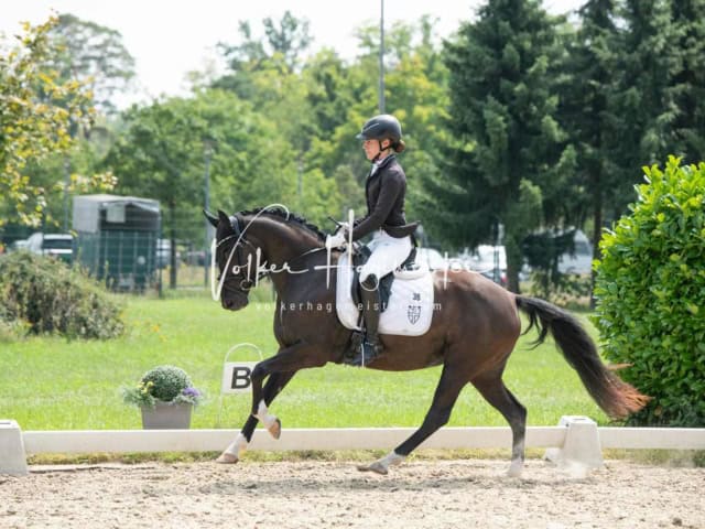 ZfdP Bundesturnier 15