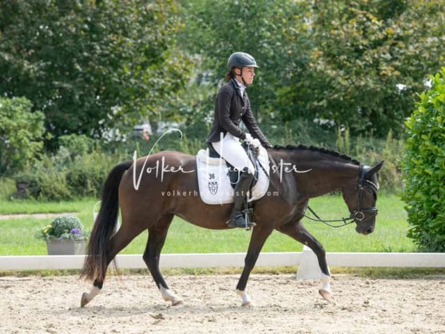 ZfdP Bundesturnier 16