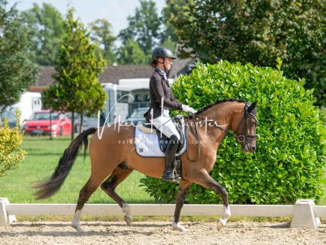 ZfdP Bundesturnier 18