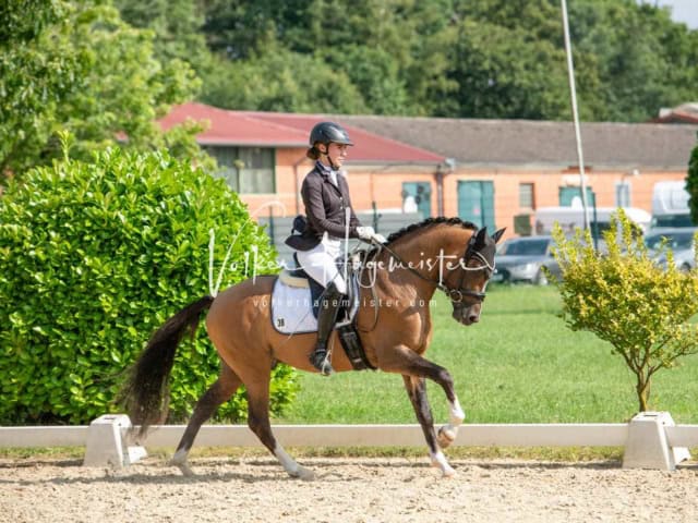 ZfdP Bundesturnier 20