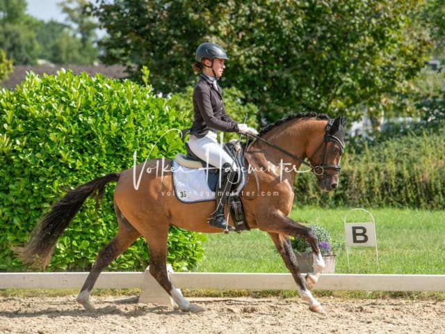 ZfdP Bundesturnier 21