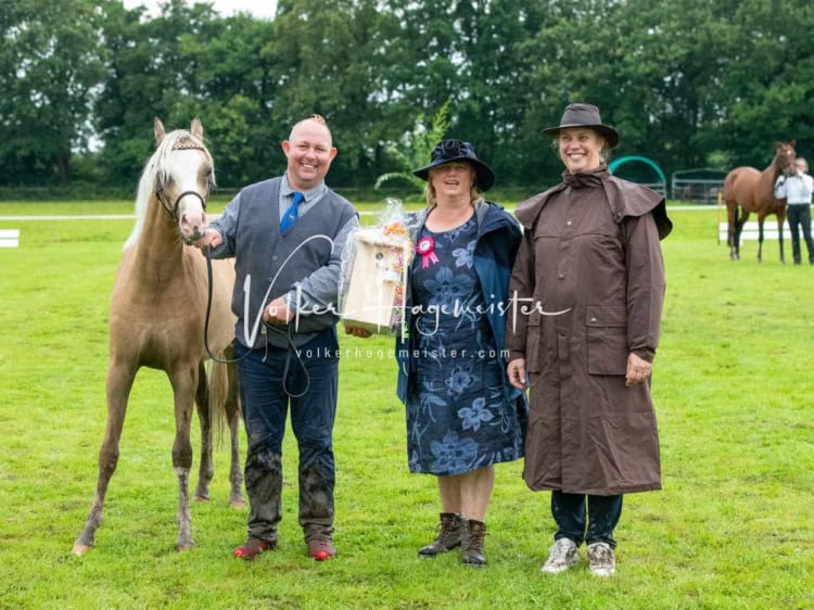 IG Welsh Regionalschau Impressionen