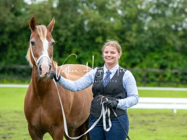 IG Welsh Regionalschau Sekt. D 6