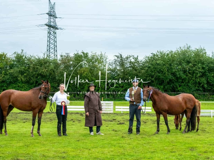 IG Welsh Regionalschau Sekt. Pb