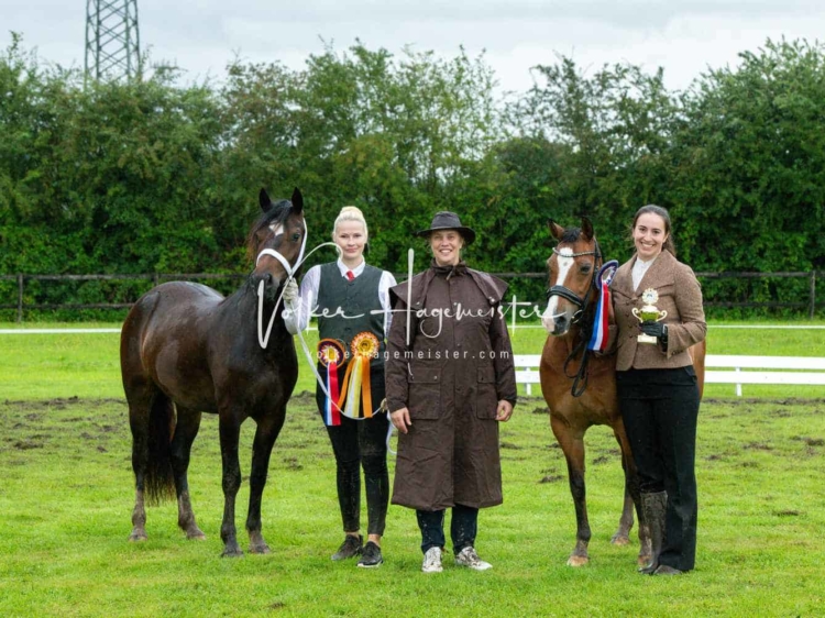 IG Welsh Regionalschau Sekt. C