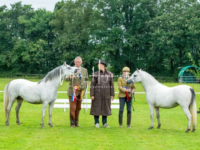 IG Welsh Regionalschau Sekt. A 2