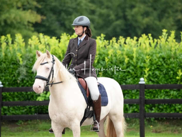 IG Welsh Schau Reitklassen 13