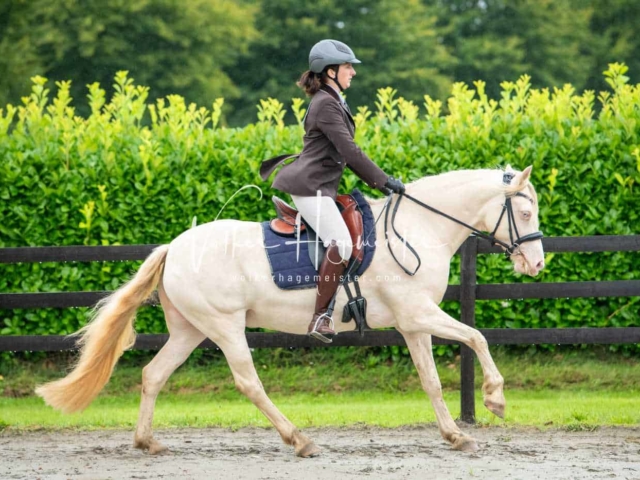 IG Welsh Schau Reitklassen 17