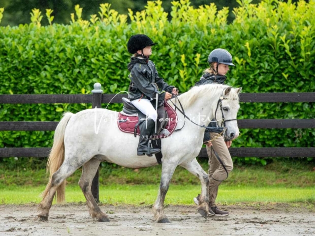 IG Welsh Schau Reitklassen 19