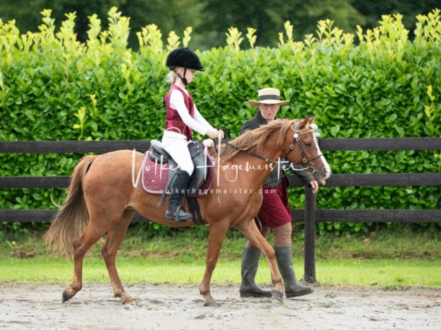 IG Welsh Schau Reitklassen 20