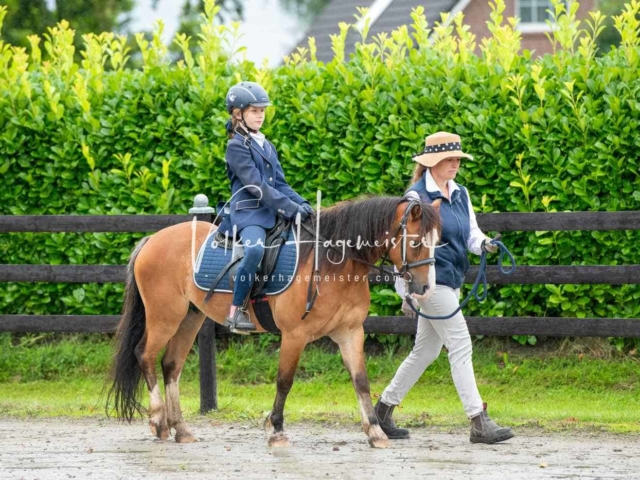 IG Welsh Schau Reitklassen 21