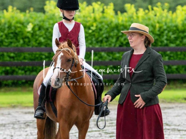 IG Welsh Schau Reitklassen 22