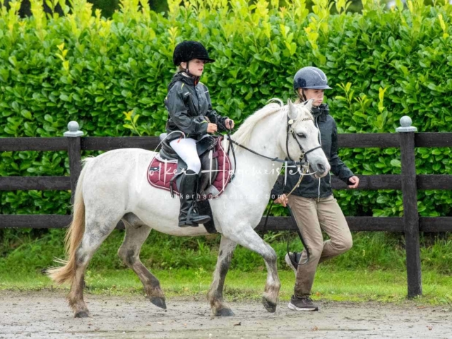 IG Welsh Schau Reitklassen 23