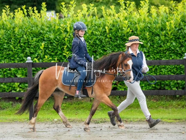 IG Welsh Schau Reitklassen 25