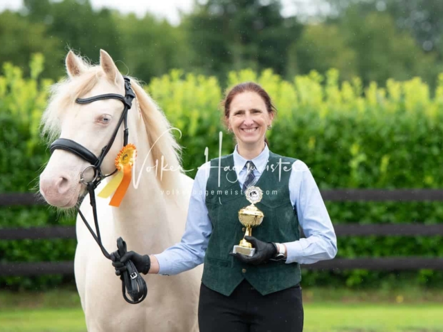 IG Welsh Schau Reitklassen 5